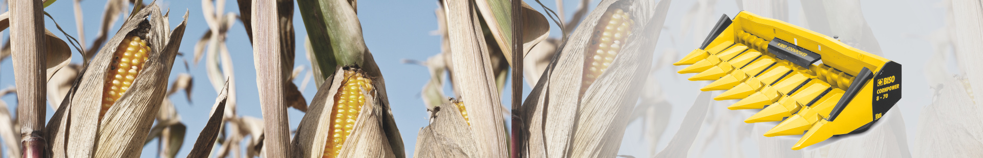 Maize header, robust and powerful