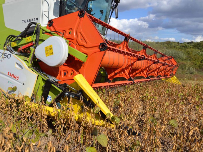 BISO - SOJAFLEX PARA CLAAS VARIO