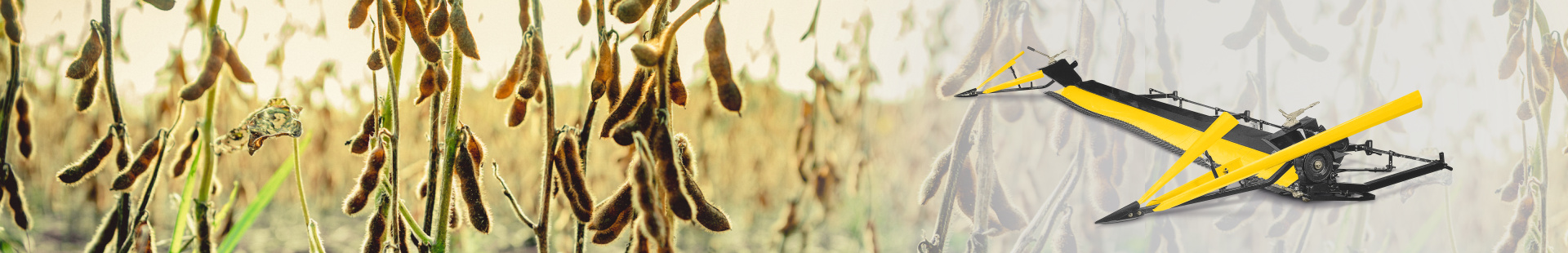 Soy and pea attachment for maximum yield